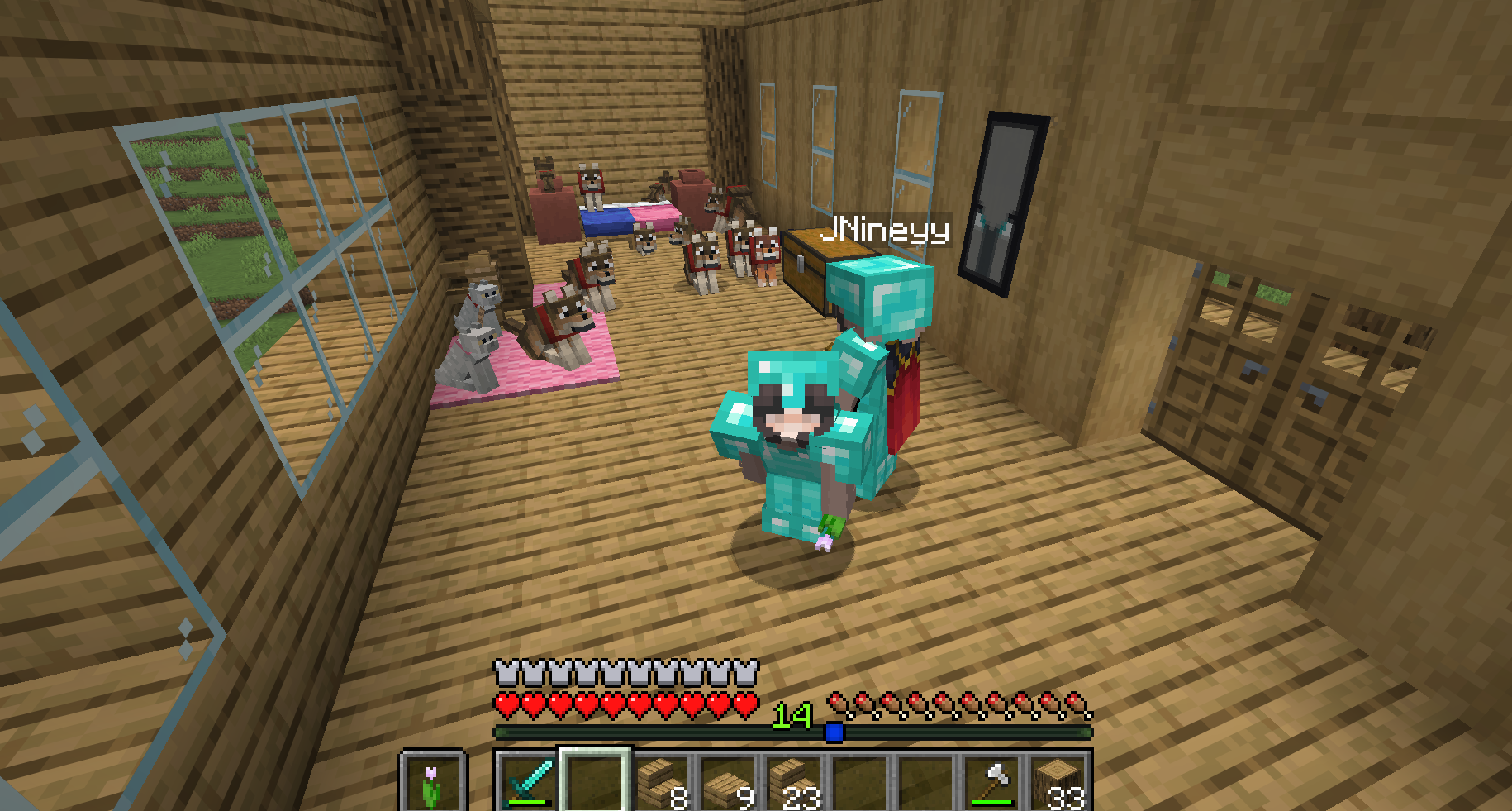 20 Our Minecraft Family